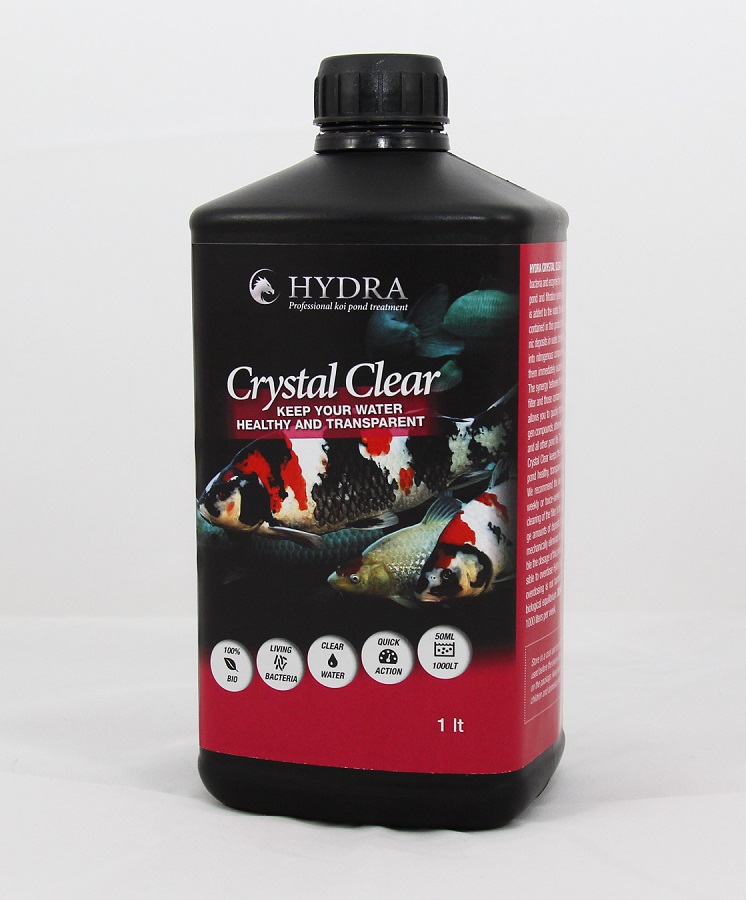 Crystal Clear 1.JPG