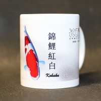 Tazza Kohaku 20 anni 
