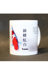 Tazza Kohaku 20 anni