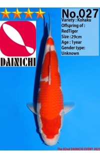 JP381 - Kohaku
