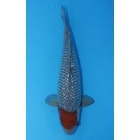 JP 493 - Gin rin ochiba