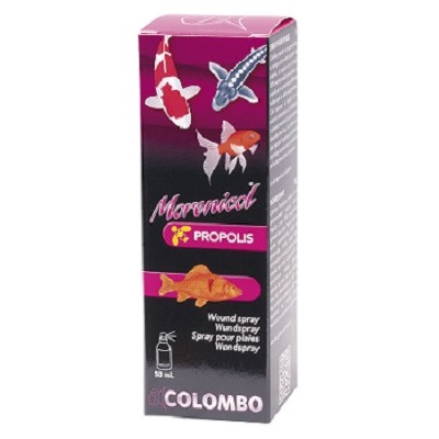 Colombo
