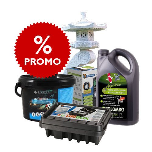 Offerte Koi Italia